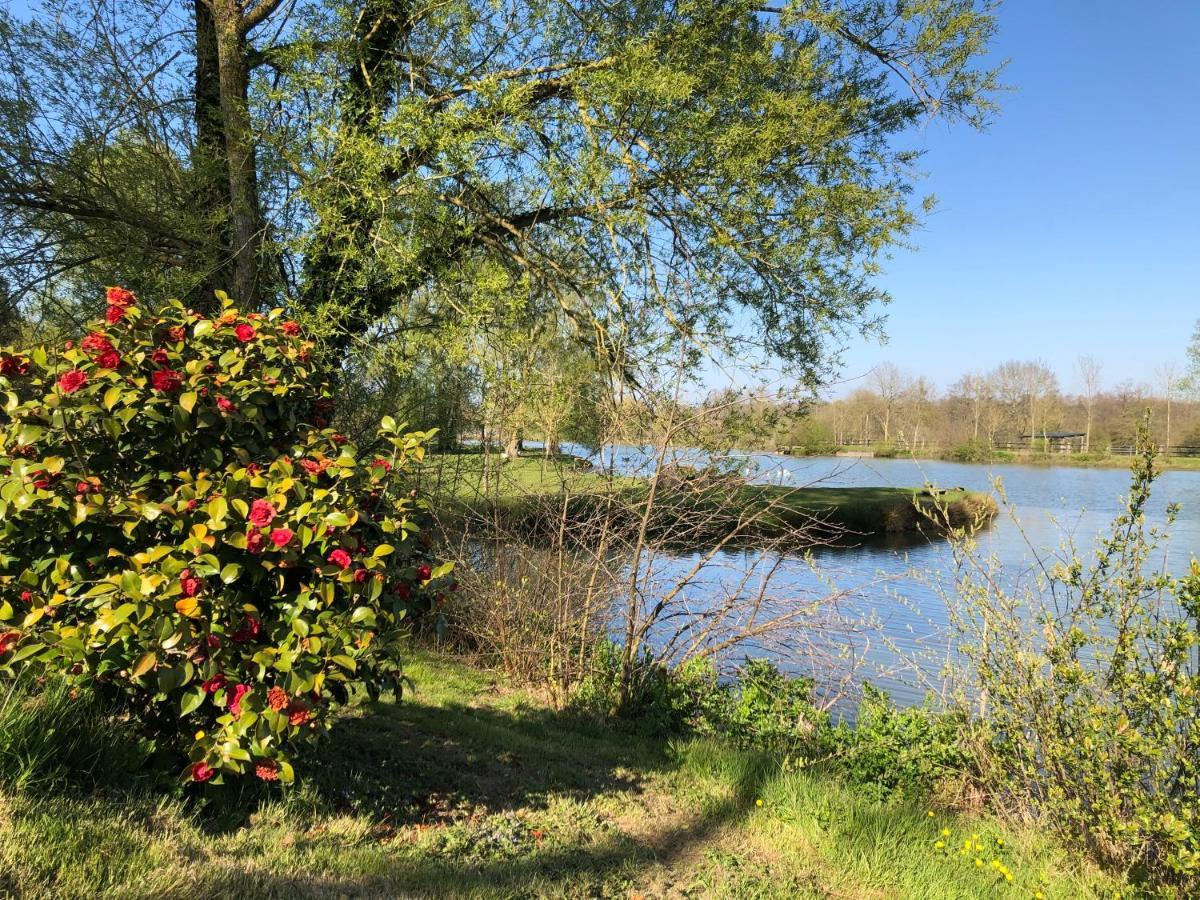 La Francoisiere Bed and Breakfast Loigné-sur-Mayenne Eksteriør billede