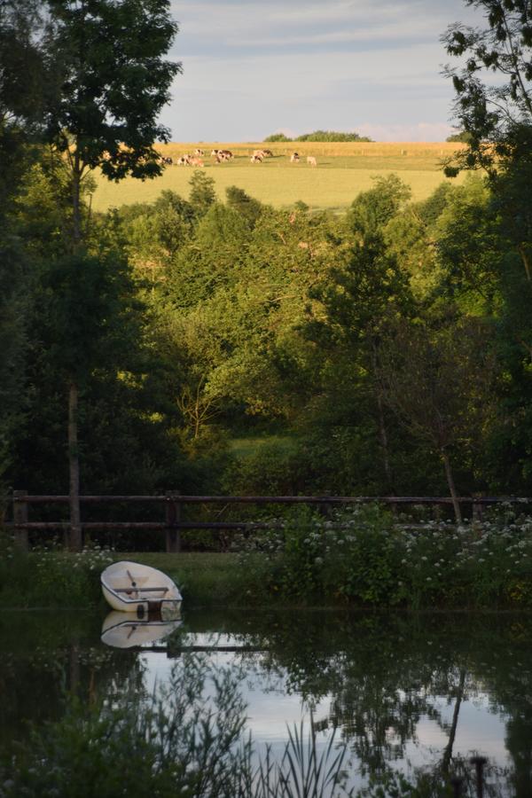 La Francoisiere Bed and Breakfast Loigné-sur-Mayenne Eksteriør billede